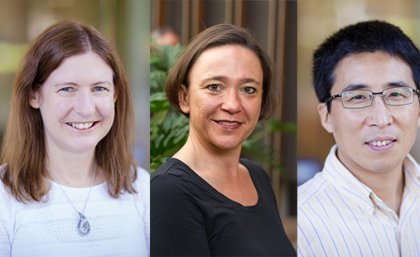 L to R - Professor Debra Bernhardt, Professor Sara Dolnicar and Professor Lianzhou Wang L to R - Professor Debra Bernhardt, Professor Sara Dolnicar and Professor Lianzhou Wang